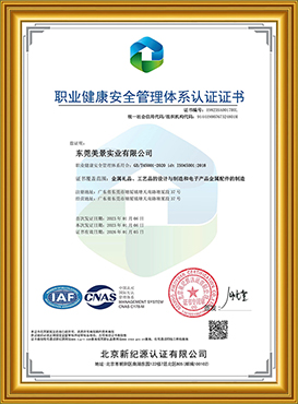 ISO 45001:2018
职业健康安全管理体系认证